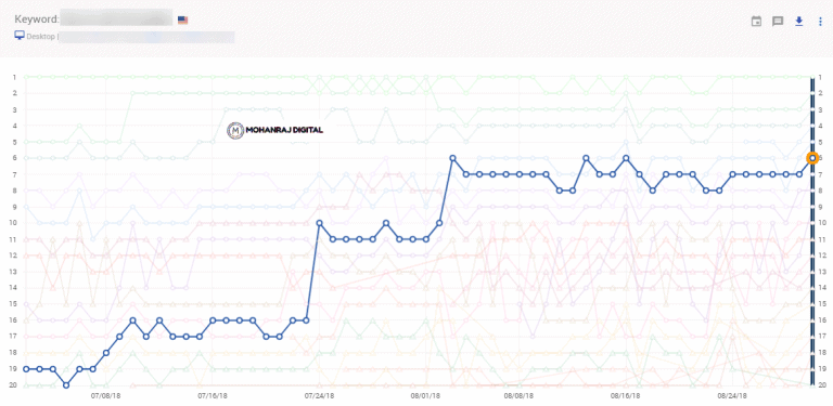 SEO Results - Search Visibility